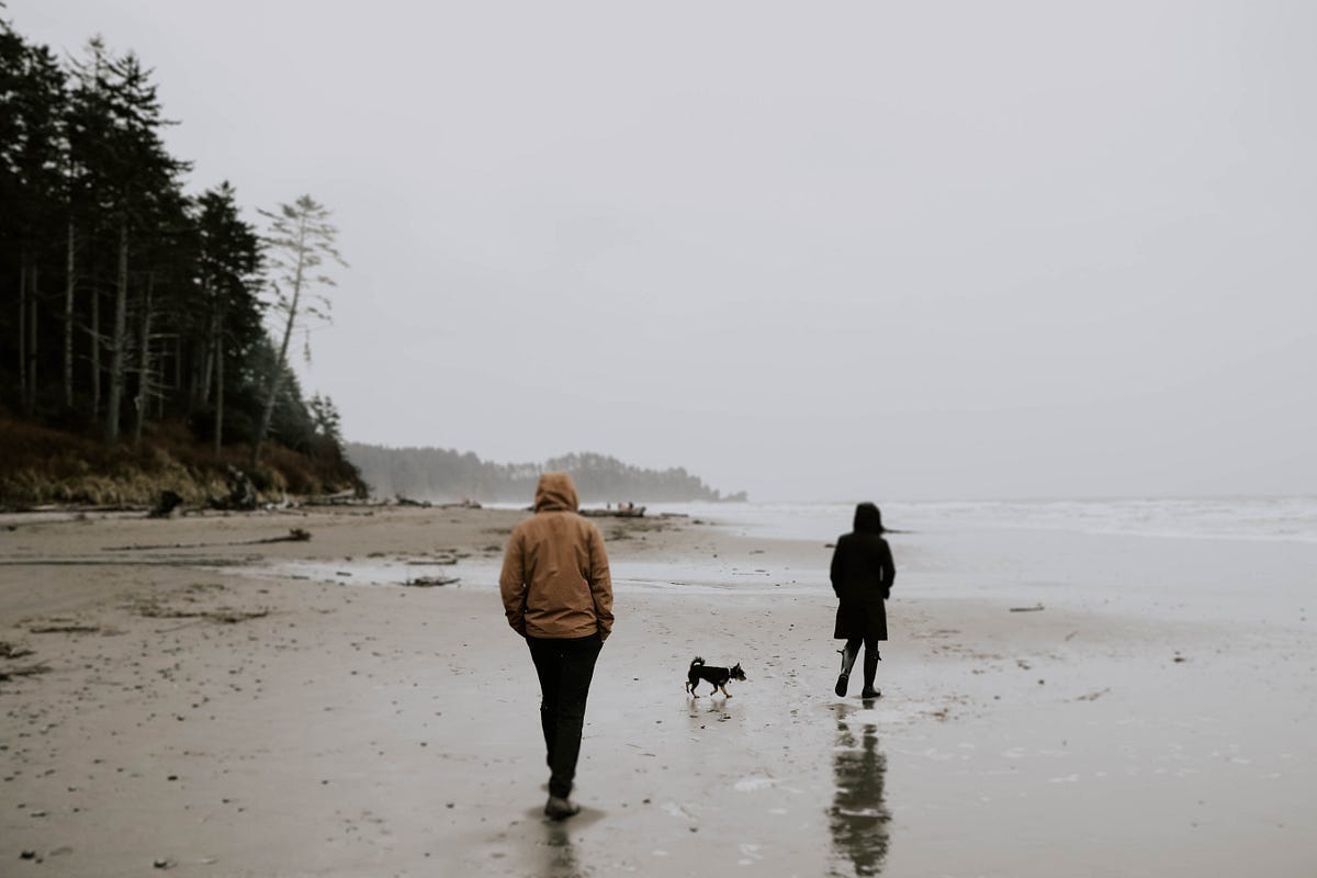 two people and a dog walking on a beach on grey sky day