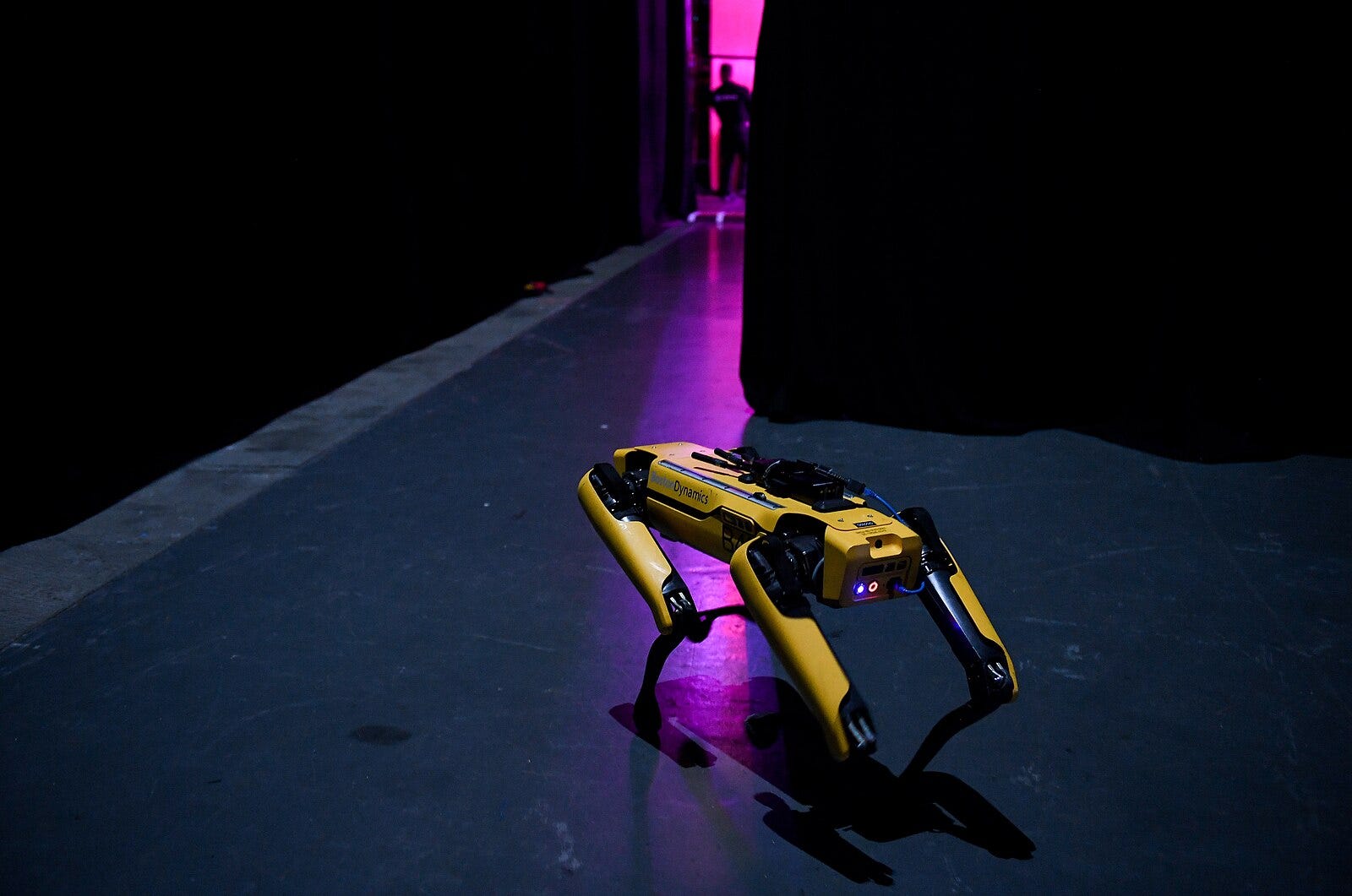 Spot, the Boston Dynamics Robot in 2019