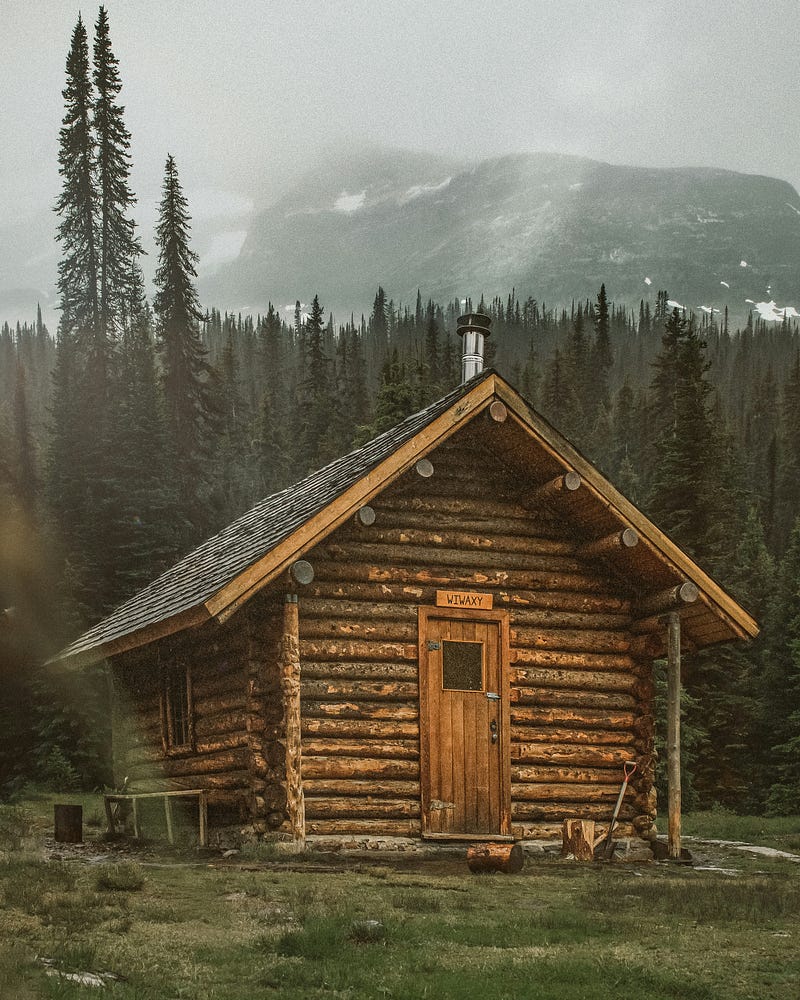 a log cabin against a snowy forest landscape